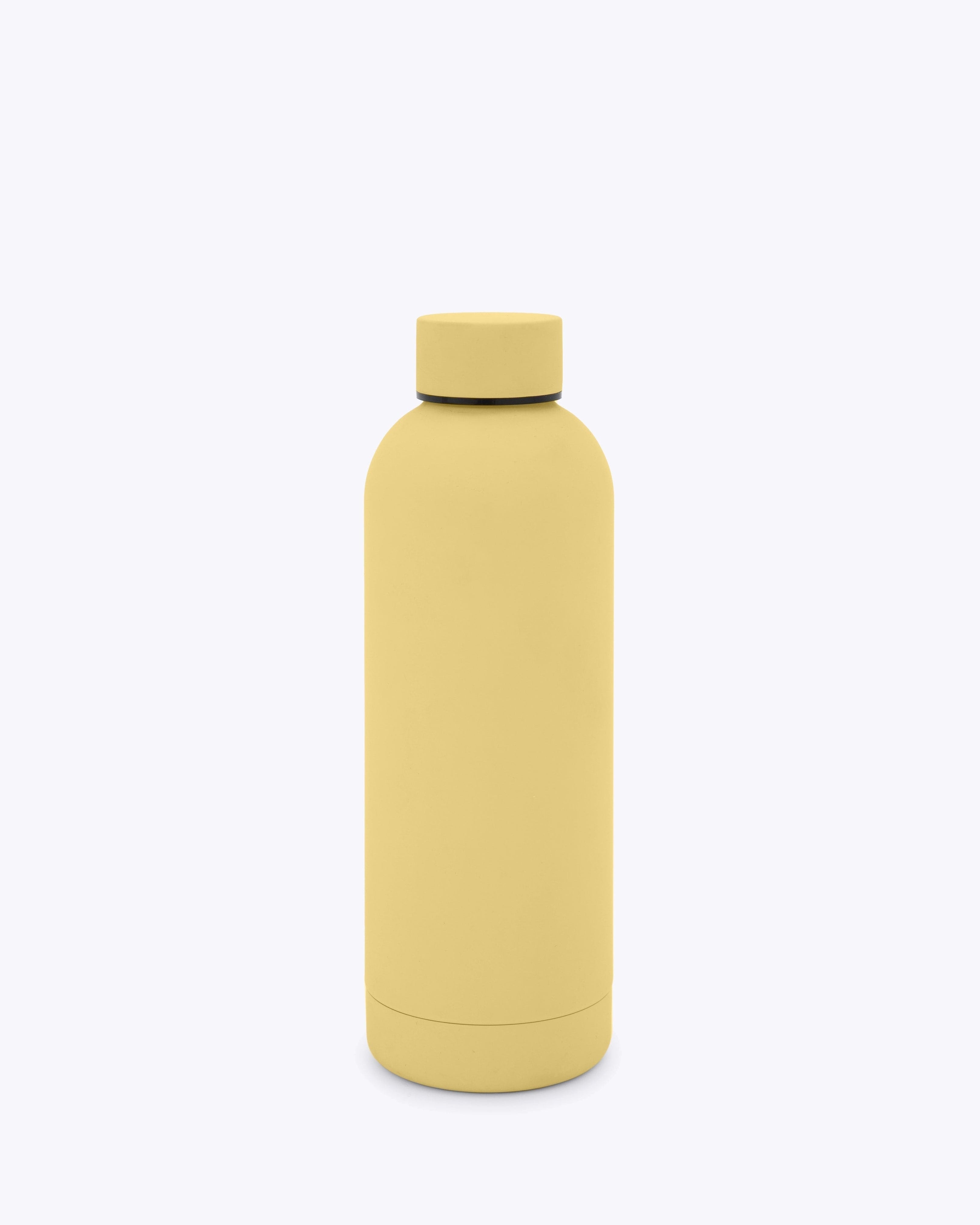 Stainless Steel Water Bottle — Voyager Elite